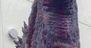 Godzilla Resurgence : nouveau design