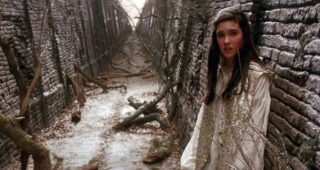 Labyrinthe : Photo Labyrinthe