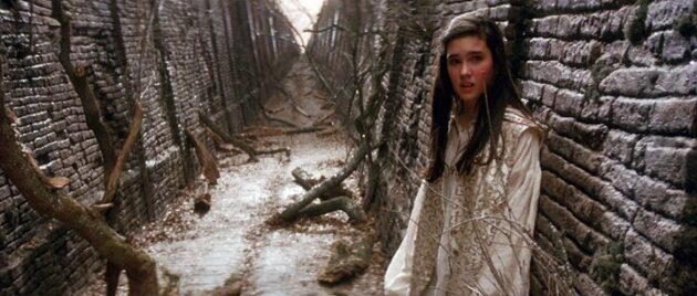 Photo Labyrinthe