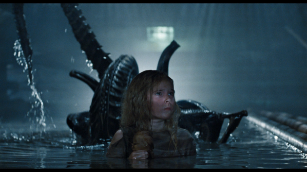 Newt