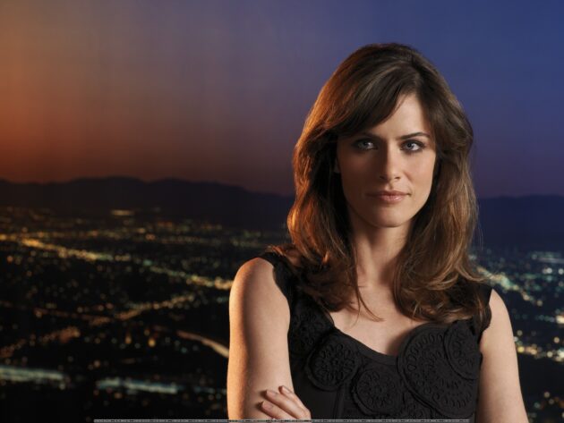 Amanda Peet