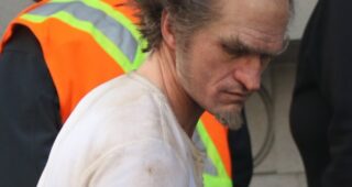 Neil Patrick Harris : Les Désastreuses Aventures des orphelins Baudelaire