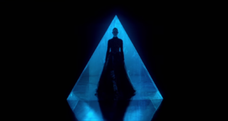 The Neon Demon : The Neon Demon