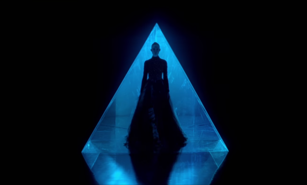 The Neon Demon : The Neon Demon