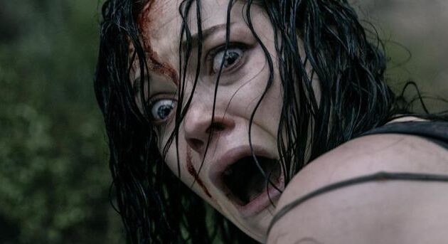 Don't Breathe : In the Dark