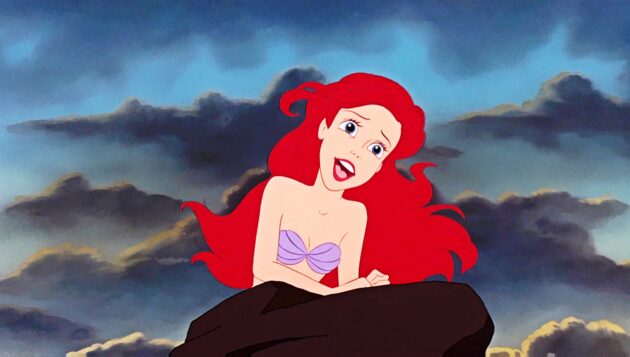 Photo 3 Ariel