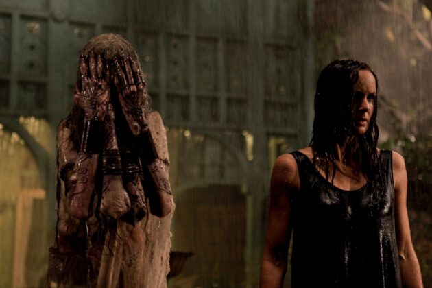 Sarah Wayne Callies, The Door