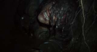 The Woods : bande-annonce