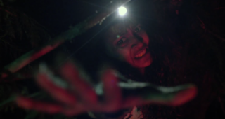 The Woods : bande-annonce