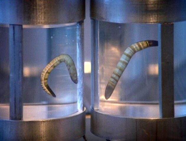 X-Files, Projet Arctique