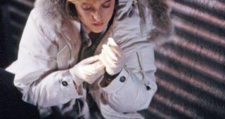X-Files saison 1 : X-Files, Projet Arctique