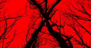 Blair Witch (remake) : Affiche