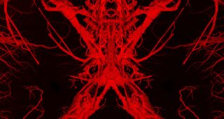 Blair Witch : Affiche