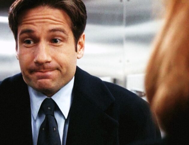 Photo Mulder