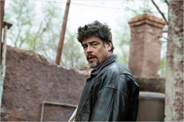 Photo Benicio Del Toro