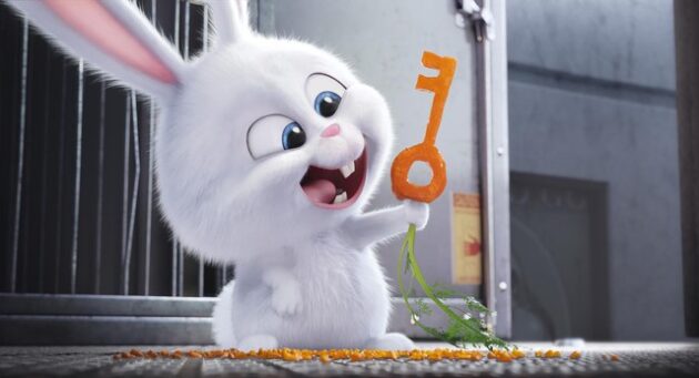 lapin