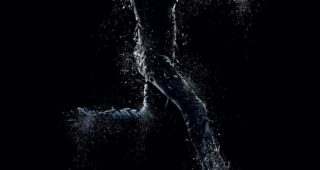 Divergente 2 : L’Insurrection : Affiche Shailene Woodley