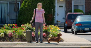 Le Teckel : Photo Greta Gerwig