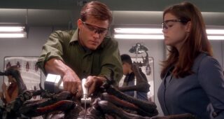 Starship troopers : Photo Casper Van Dien, Denise Richards