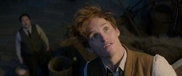 Photo Eddie Redmayne