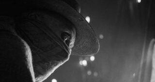 Logan : Photo Caliban