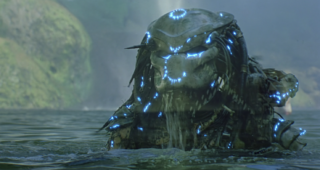 Predator : Photo