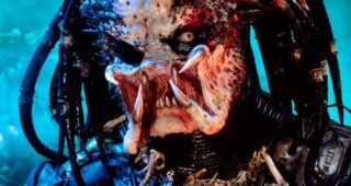 Predator : Photo