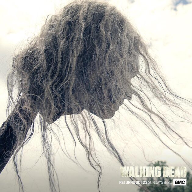 Photo Affiche saison 7