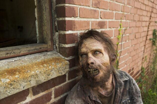 Photo zombies