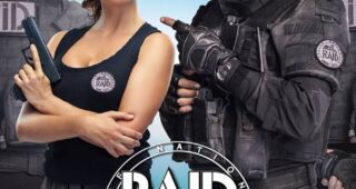 Raid dingue : Affiche