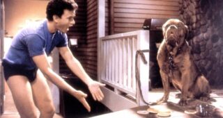 Tom Hanks : Photo Turner & Hooch