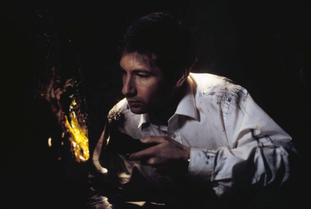 Photo David Duchovny, Tooms