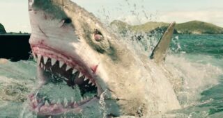 Instinct de survie : blake lively VFX