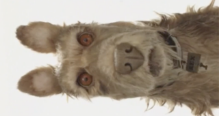 Isle of Dogs : Chien Norton