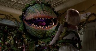 Petite boutique des horreurs (La) : Photo Audrey II
