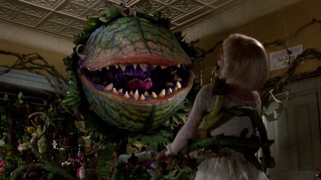 Photo Audrey II