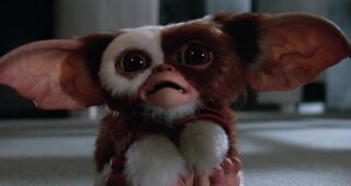 Gremlins 2, la nouvelle génération : Photo