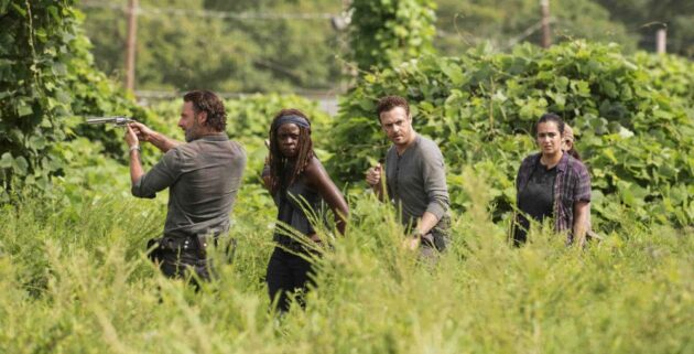 Photo Saison 7