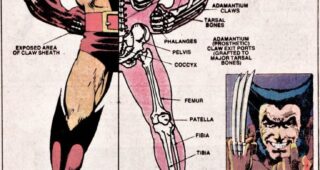 X-Men : Photo Le squelette de Wolverine (comics)