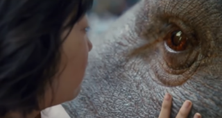 Okja : trailer netflix