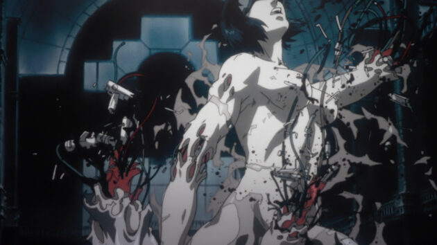 Photo Ghost in the Shell