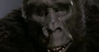 King Kong II : cauchemar Linda Hamilton