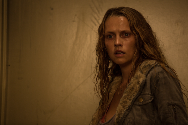 Photo Teresa Palmer