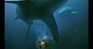 In the Deep : Affiche