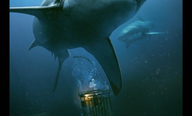 In the Deep : Affiche