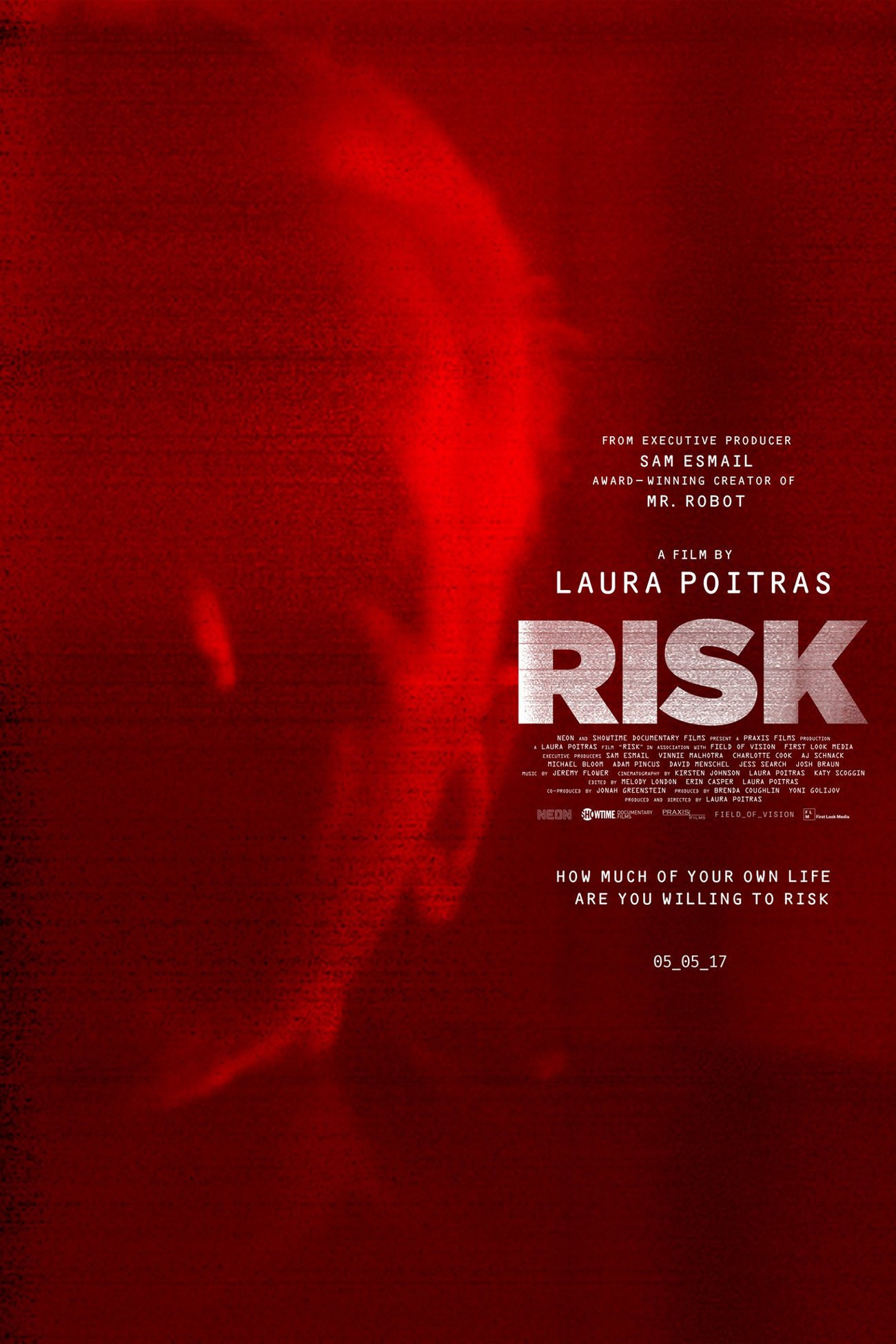 Risk : Affiche officielle