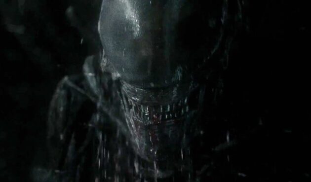 Xenomorph