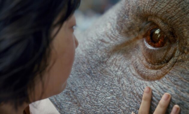 Okja : Photo