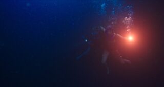 In the Deep : Photo