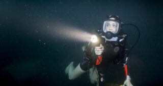In the Deep : Photo